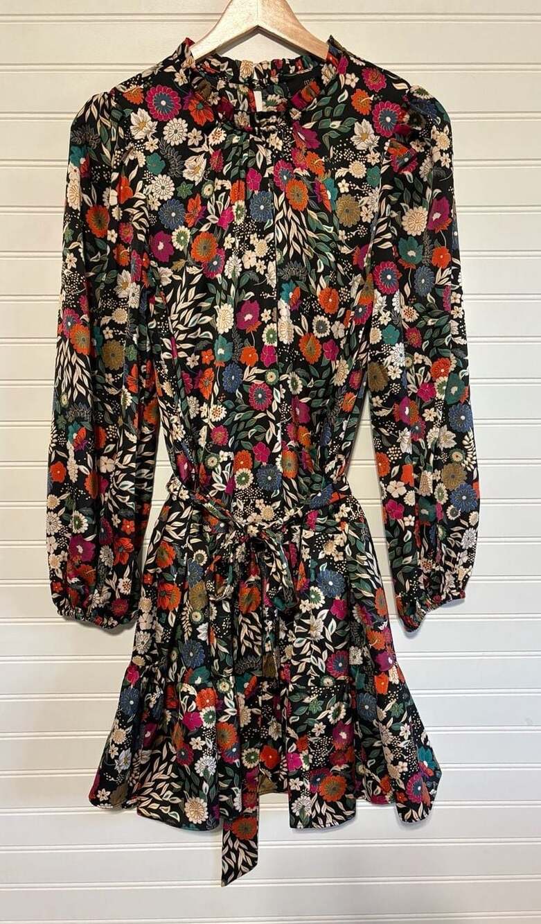 Maia Floral Long Sleeve Tiered Mini Dress Size 10P